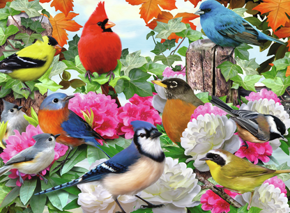 RAVENSBURGER GARDEN BIRDS 500 BRIKKER