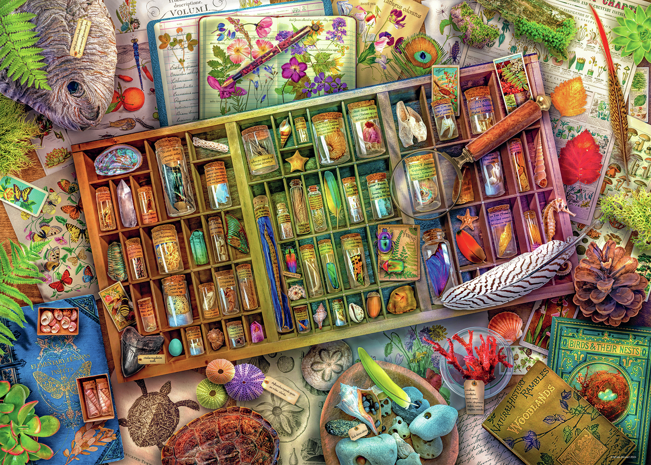 THE NATURAL WORLD 1000 BRIKKER