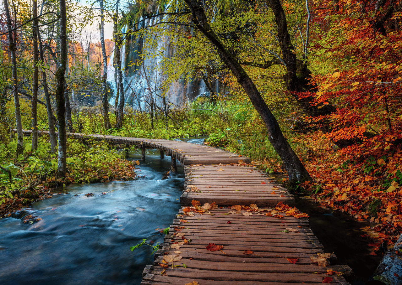 RAVENSBURGER AUTUMNAL WOOD TRAIL 1000