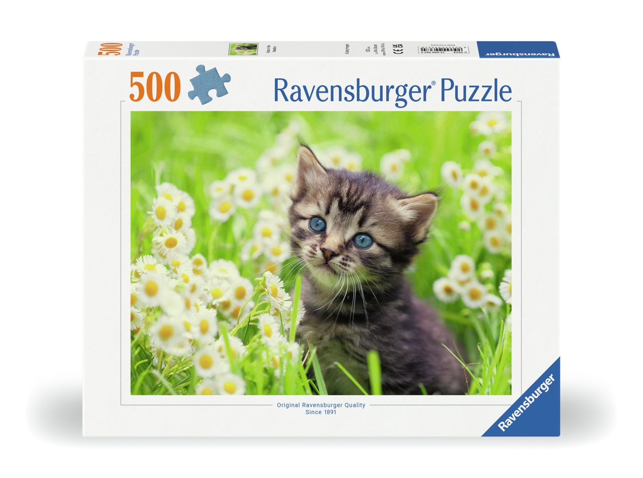 KITTEN IN THE MEADOW 500 BRIKKER