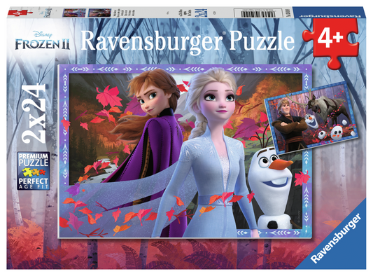 FROSTY ADVENTURES 2X24 BRIKKER